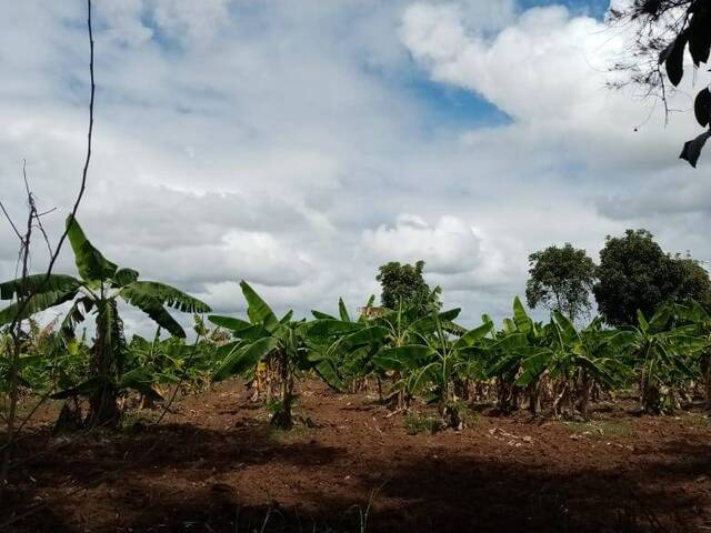 #181 - Terreno para Venta en Santo Domingo - Santo Domingo - 1