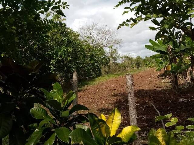 #181 - Terreno para Venta en Santo Domingo - Santo Domingo - 3