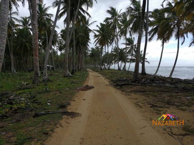 #242 - Área para Venta en Bavaro - La Altagracia - 2